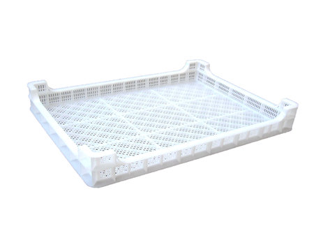 334号 草莓视频H在线下载盘 334号 草莓视频H在线下载盘