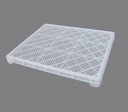 P400号草莓视频H在线下载单冻器